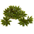 Mini Agave Succulent Plant Set Of 12
