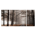 Misty Road A Premium Multi Piece Art Available In 3 Sizes