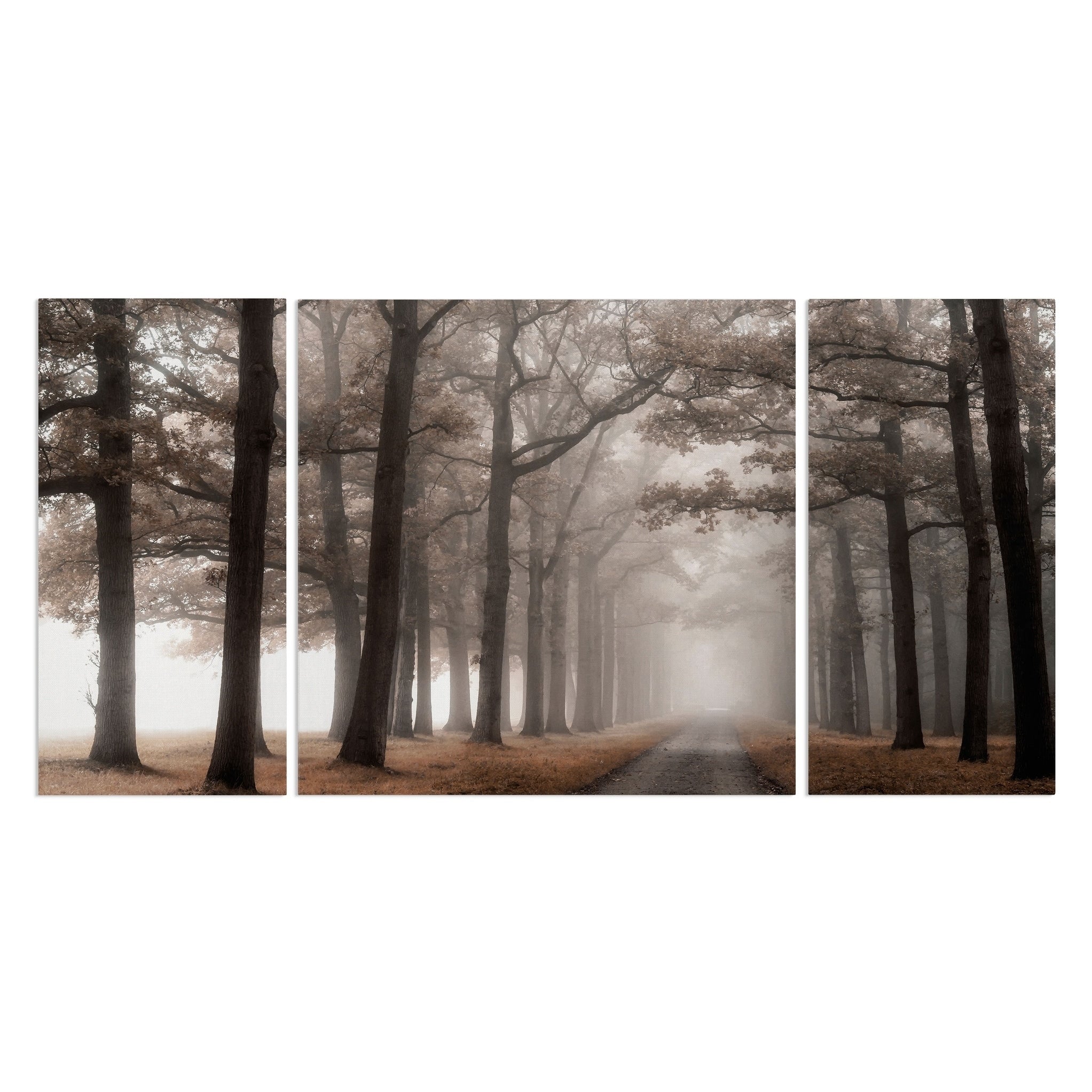 Misty Road A Premium Multi Piece Art Available In 3 Sizes