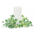 Mixed Ivy Candle Ring Set Of 6
