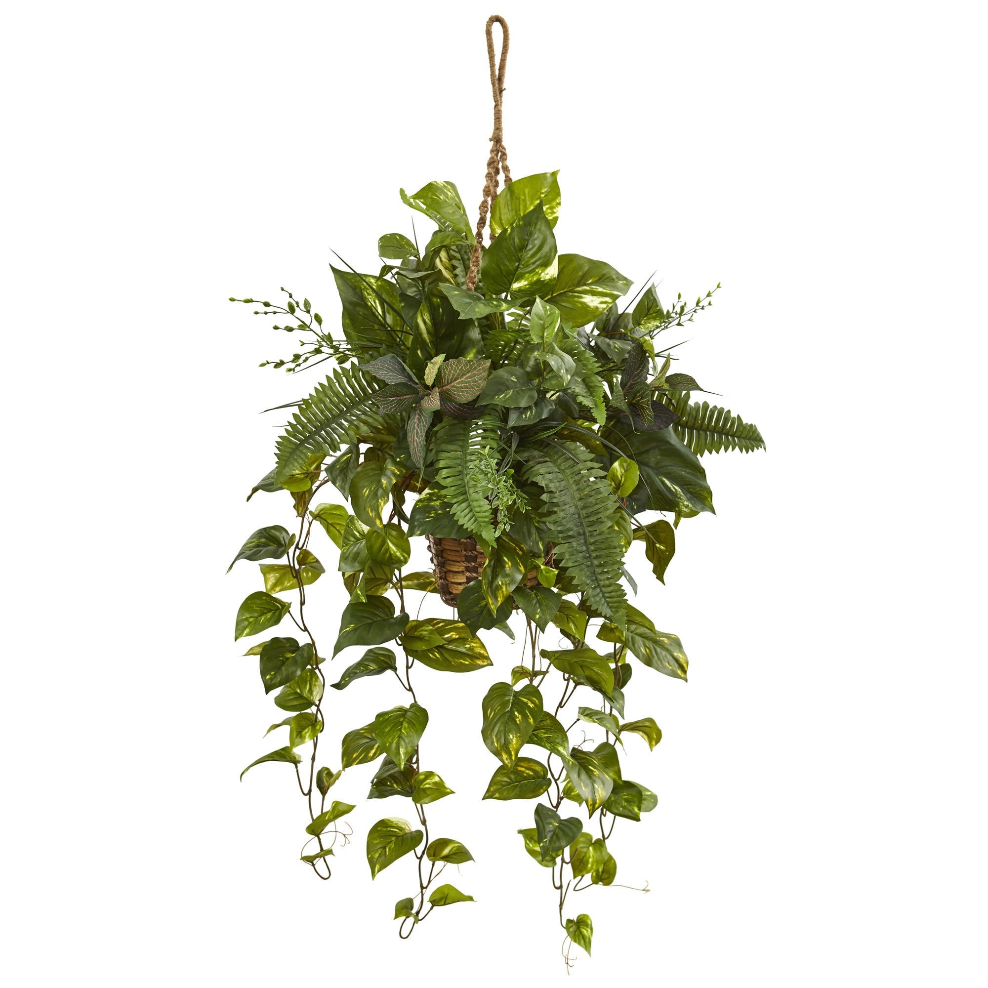 Nearly Natural Mixed Pothos And Boston Fern In Hanging Basket