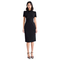 Mock Neck Short Sleeve Sheath Dress With Tie Neck Detail And Back Zipper