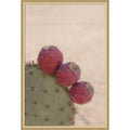 Modern Close Up Cactus By Stephanie Klatt Framed Mounted Canvas Wall Art Print