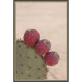 Modern Close Up Cactus By Stephanie Klatt Framed Mounted Canvas Wall Art Print