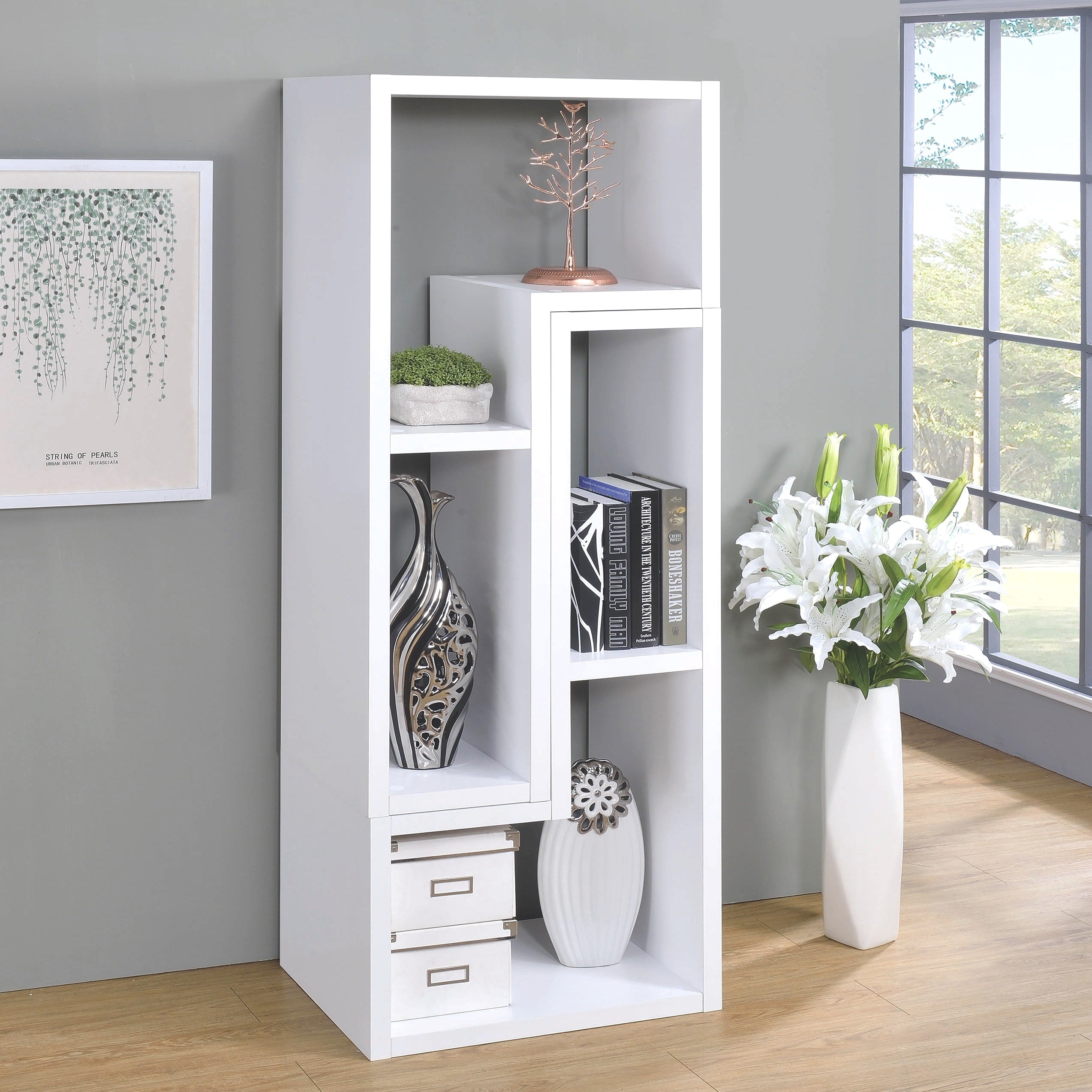 Modern Contemporary Multifunctional Design White Display Bookcase Tv Console