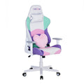Modern Designs Kawaii Style High Back Ergonomic Office Pc Gaming Chair