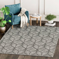 Modern Indoor Abstract Grey Ivory Eden Rug 4 X 6