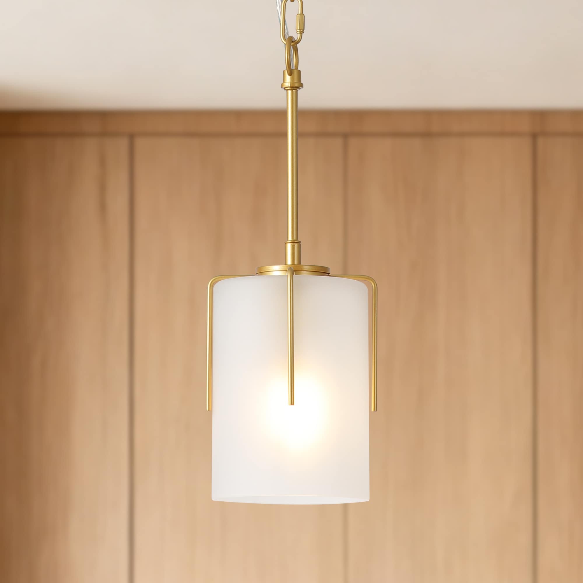 Modern Pendant Light With Frosted Glass Shade Adjustable Height Compatible With Flat Vaulted Curved Ceilings E26 Base Max 60W
