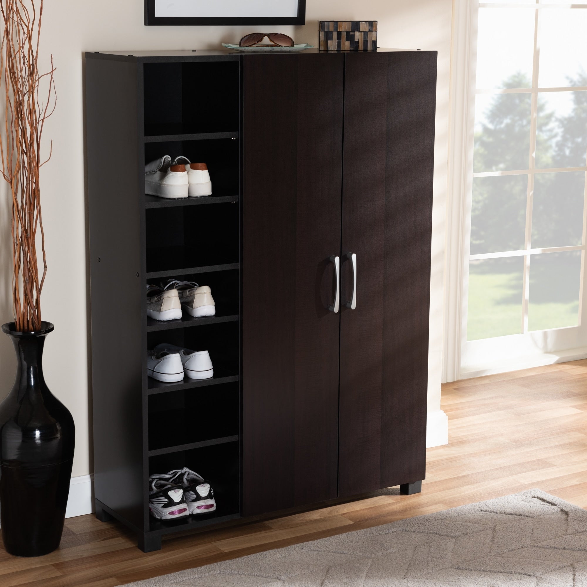 Modern And Contemporary Wenge Dark Brown 2 Door Shoe Storage Cabinet