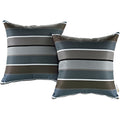 Modify Multicolored Polyester Water Resistant Throw Pillows Set Of 2