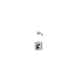 Moen Genta Lx Pressure Balanced Shower Trim Only Less Shower Head