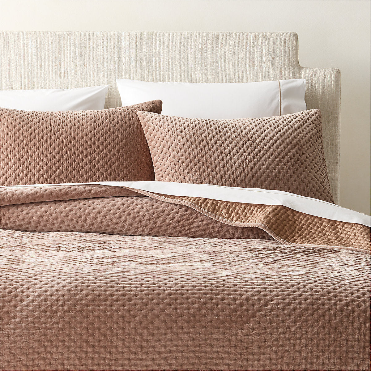 Montera Organic Cotton Taupe Velvet Standard Pillow Shams Set of 2