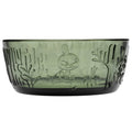 Moomin Glass Bowl 11.8Oz