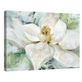 Morning Magnolia By Studio Arts Canvas Art