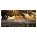 Morning Meadow Sunrise A Premium Multi Piece Art Available In 3 Sizes