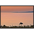 Morning Meal By Chuck Burdick 41 X 28 In. Framed Canvas Wall Art Print