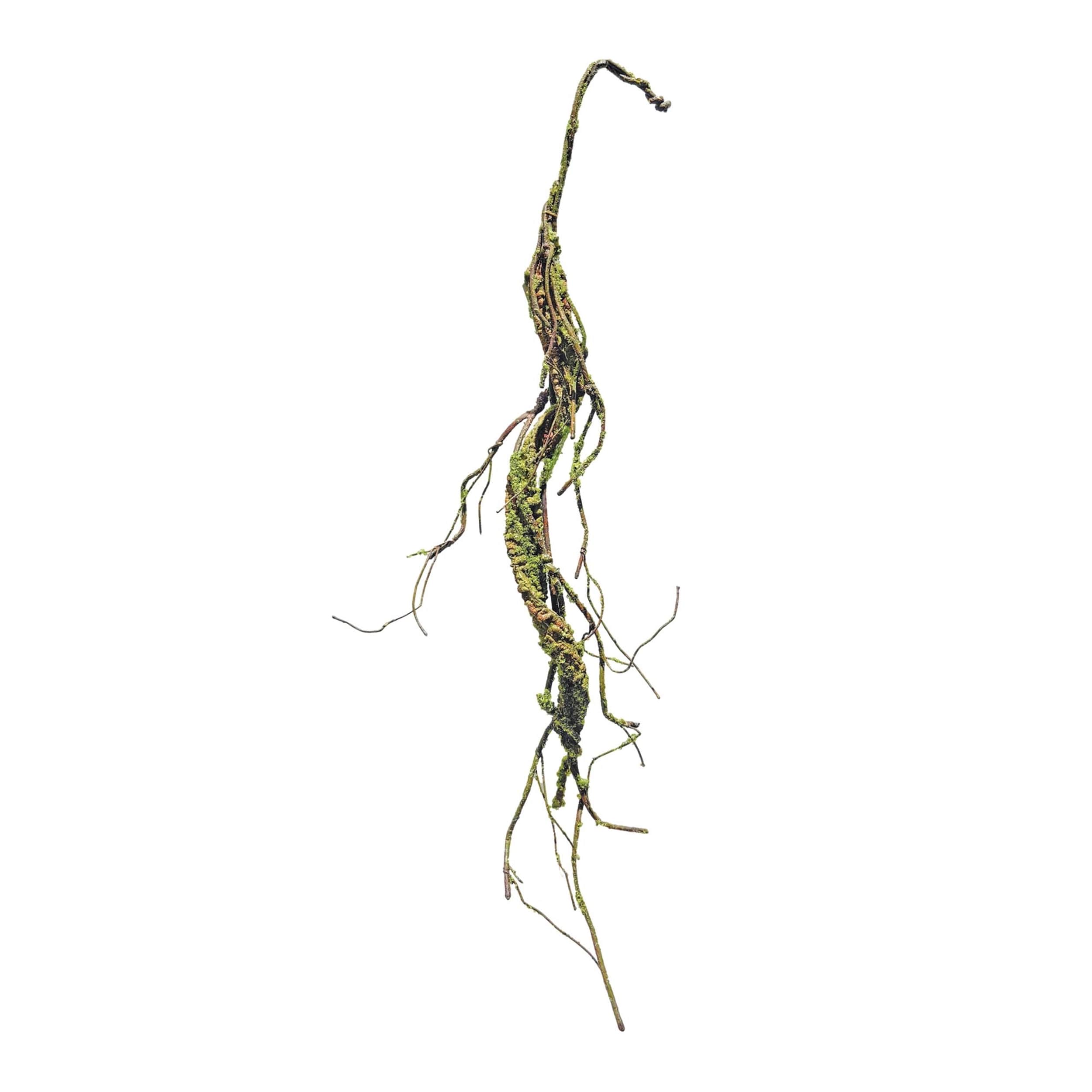 Mossy Twig Garland Set Of 2