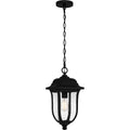 Mulberry 1 Light Outdoor Hanging Lantern In Matte Black