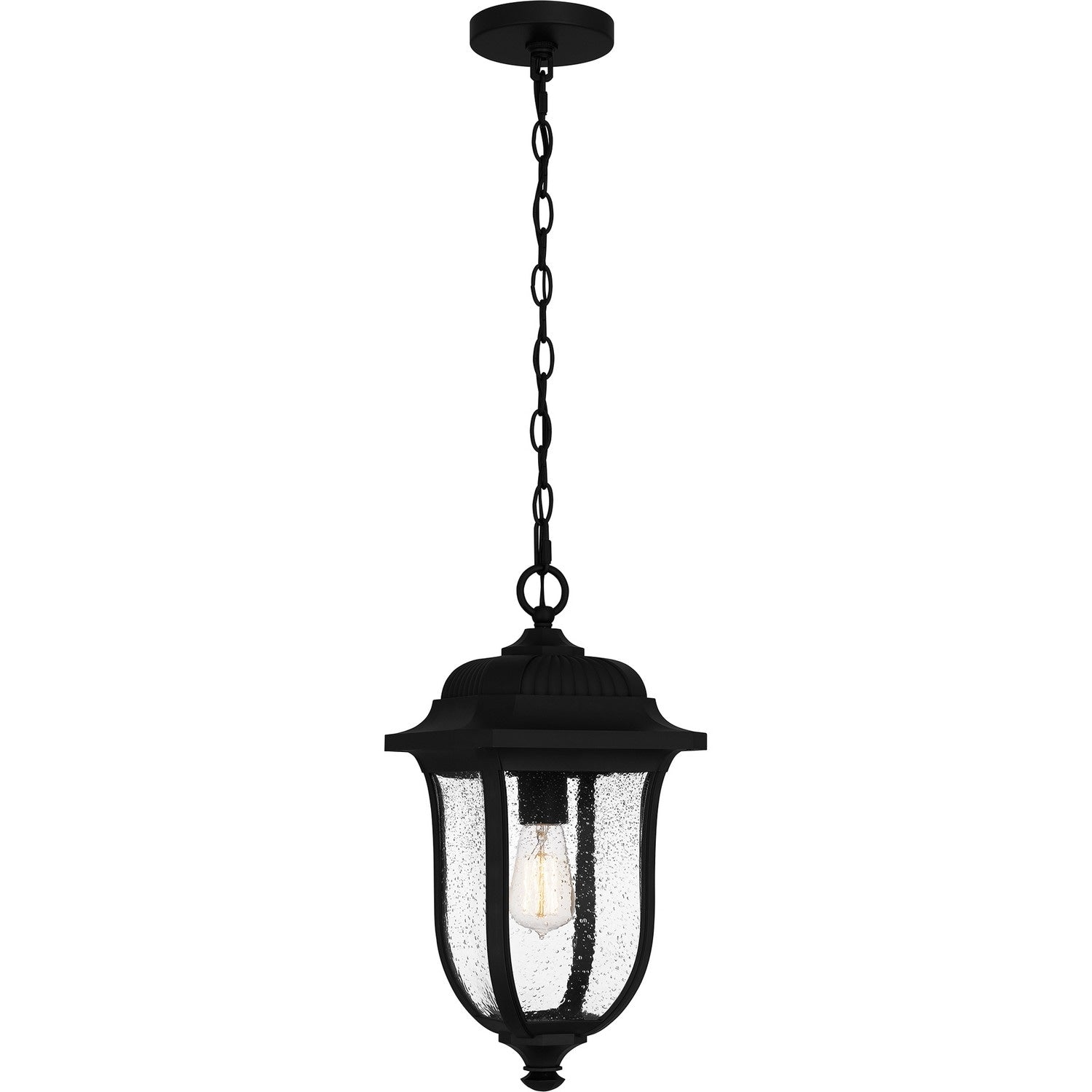Mulberry 1 Light Outdoor Hanging Lantern In Matte Black