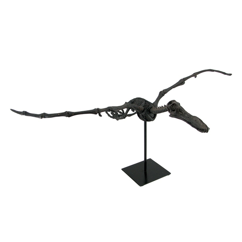 Museum Mounted Pterosaur Flying Dinosaur Fossil Replica Statue Black