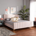 Nami Modern Light Pink Velvet And Gold Finished Full Size Platform Bed