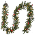 Frosted Berry Clear Lit 9 Foot Garland