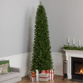 10 Ft. Kingswood Fir Pencil Tree