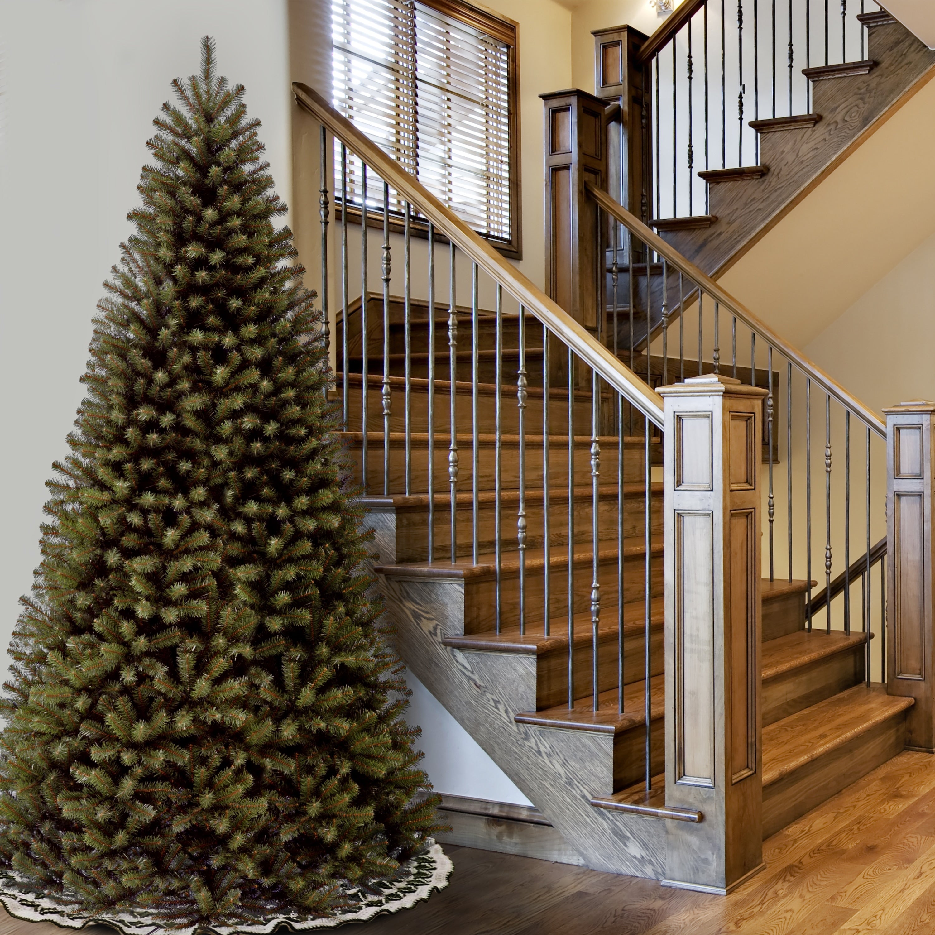 10 Ft. North Valley Spruce Tree