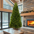 12 Ft. Powerconnect Tm Dunhill Fir Tree With Dual Color Led Lights