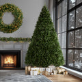 12 Ft. North Valley Spruce Tree