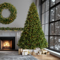 12 Foot Downswept Douglas Fir Tree With Clear Lights