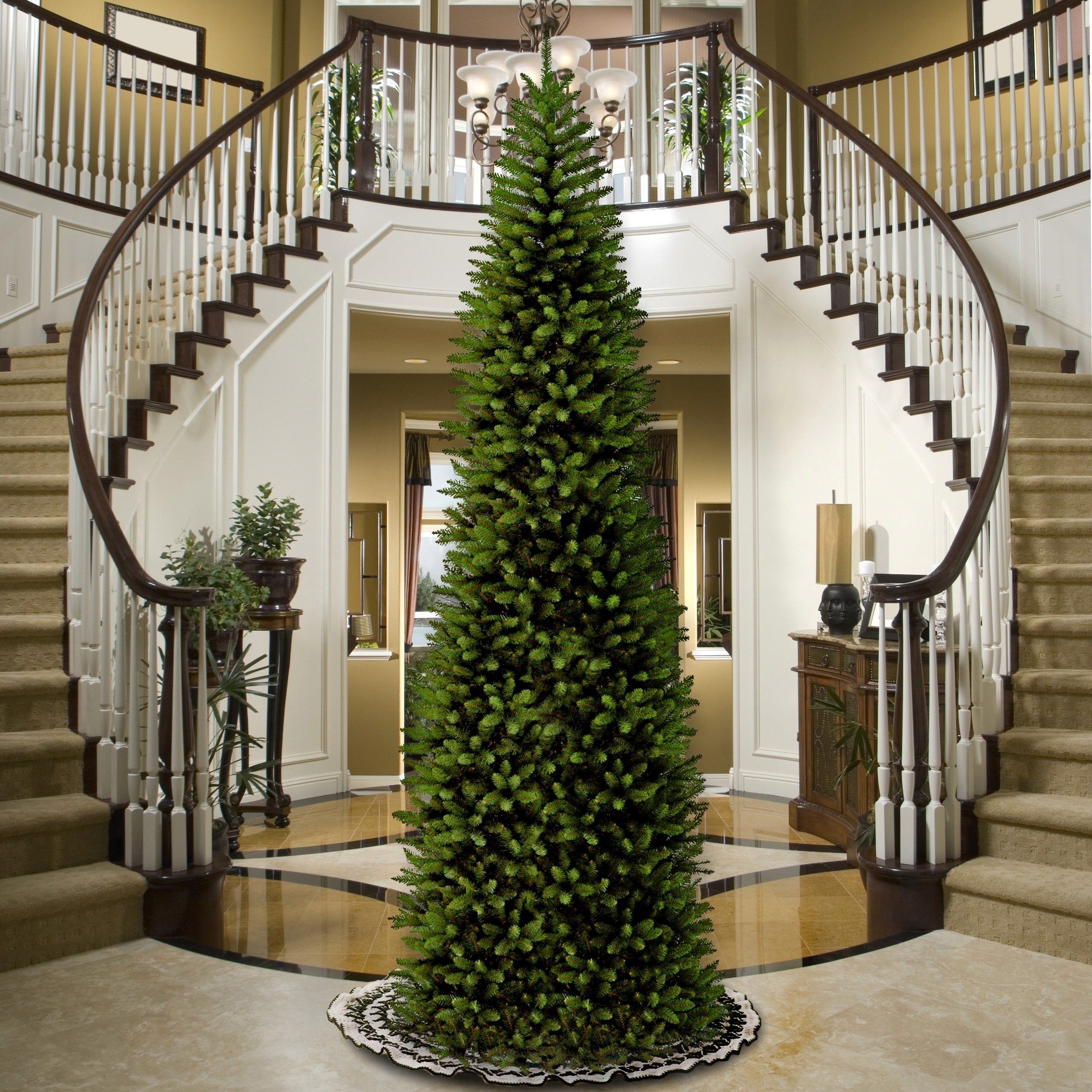 14 Ft. Kingswood Fir Pencil Tree