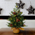 2 Ft. Nordic Spruce Tree With Battery Operated Warm White Led Lights 2 Foot