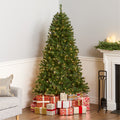 Green 6.5 Foot Artificial North Valley Spruce Tree With 450 Clear Lights