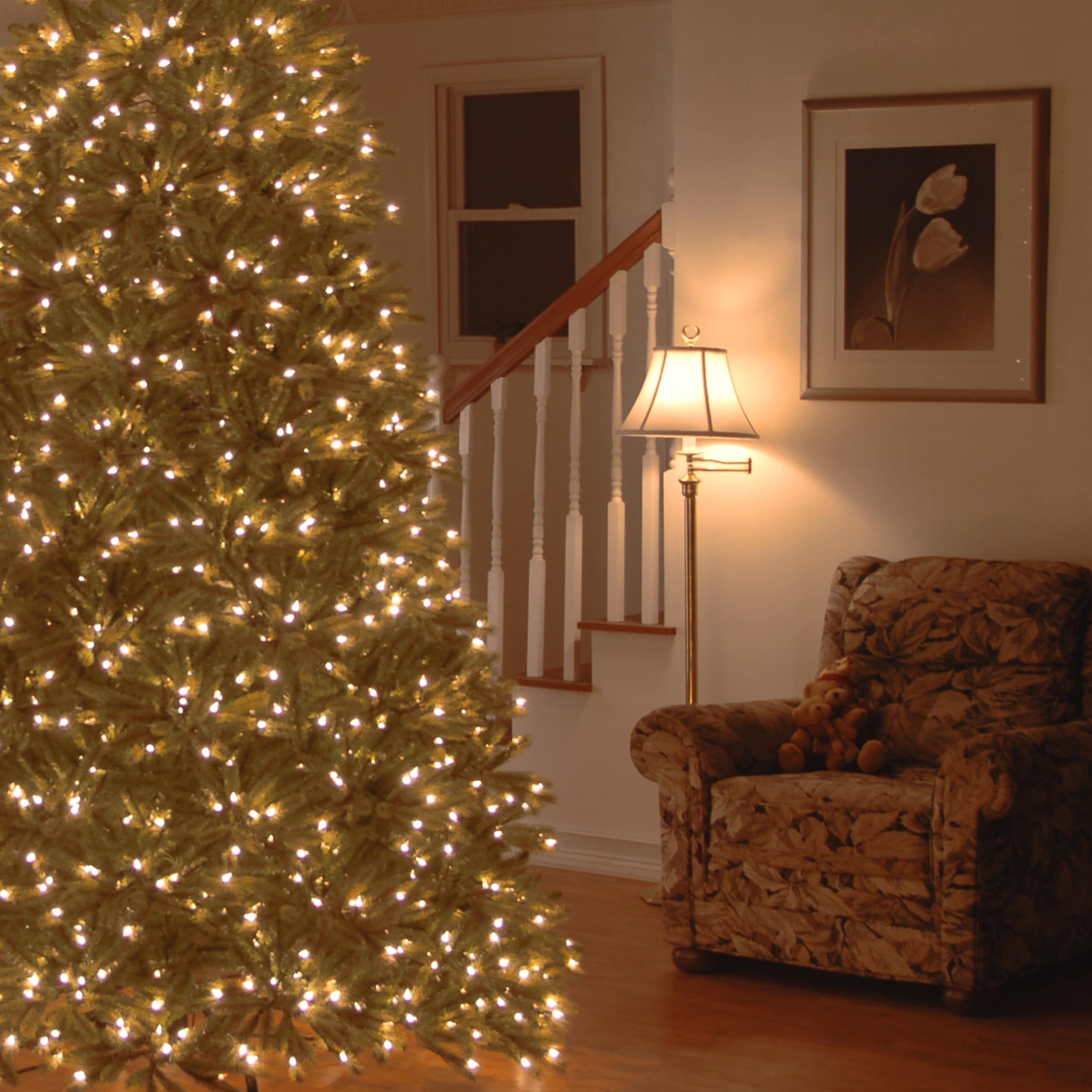 7.5 Foot Feel Real Jersey Fraser Fir Medium Hinged Tree With 1000 Clear Lights