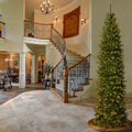 9 Ft. North Valley Spruce Pencil Slim Tree With Clear Lights