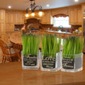 National Tree Company Family Printed Square Glass Pot With Artificial Grass Set Of 3
