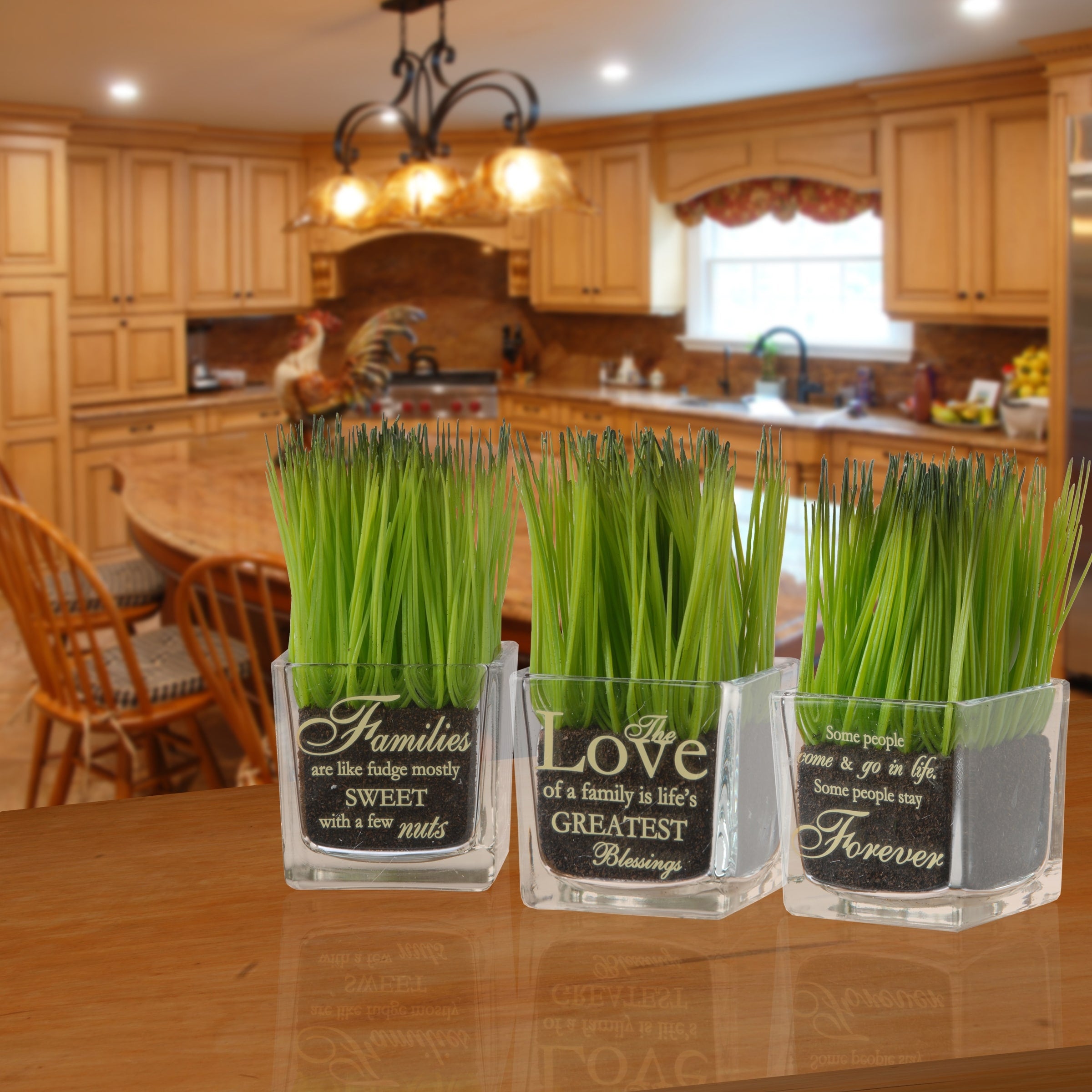 National Tree Company Family Printed Square Glass Pot With Artificial Grass Set Of 3