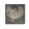 Natural Sea Fan Vi Premium Gallery Wrapped Canvas Ready To Hang