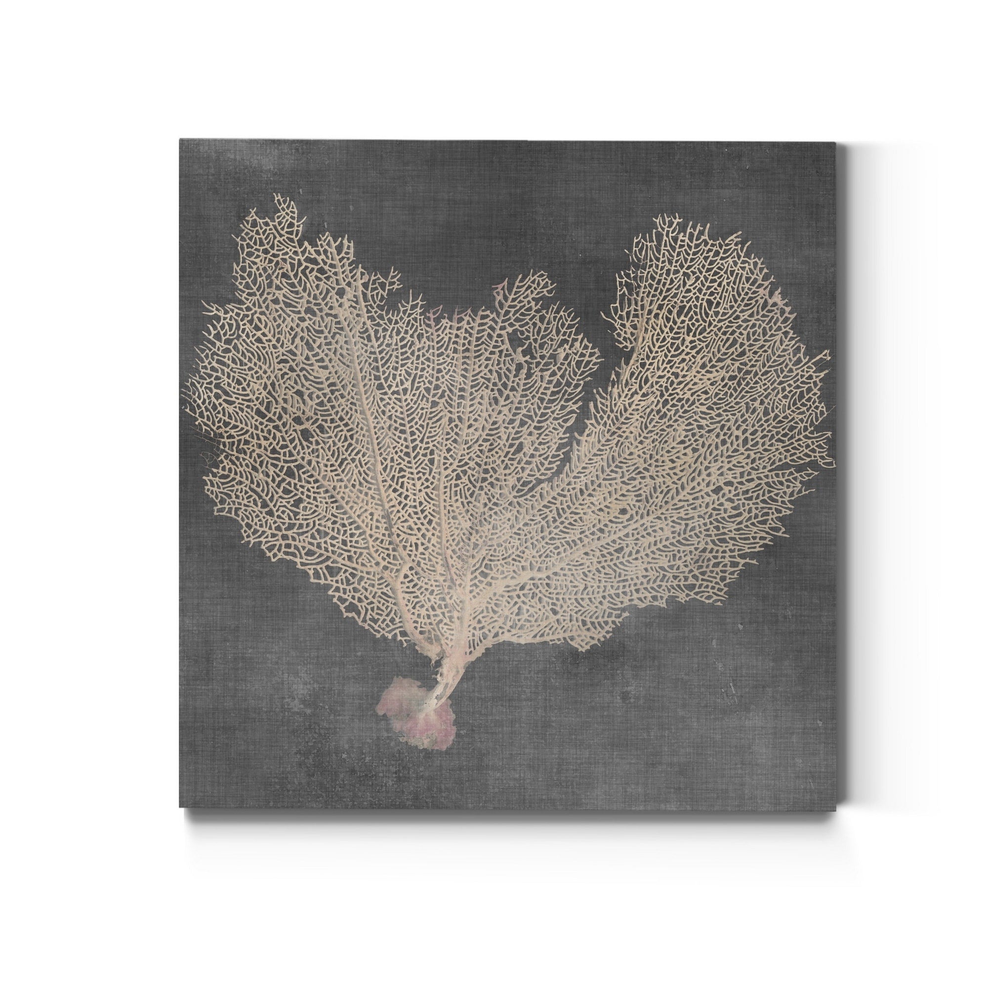 Natural Sea Fan Vi Premium Gallery Wrapped Canvas Ready To Hang