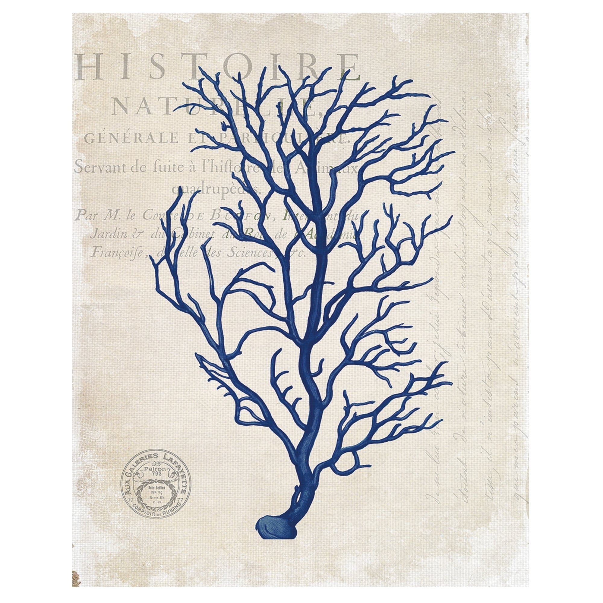 Navy Blue Coral By Stacey Powell Wrapped Canvas Art Print