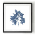 Navy Seaweed I Black Framed Print
