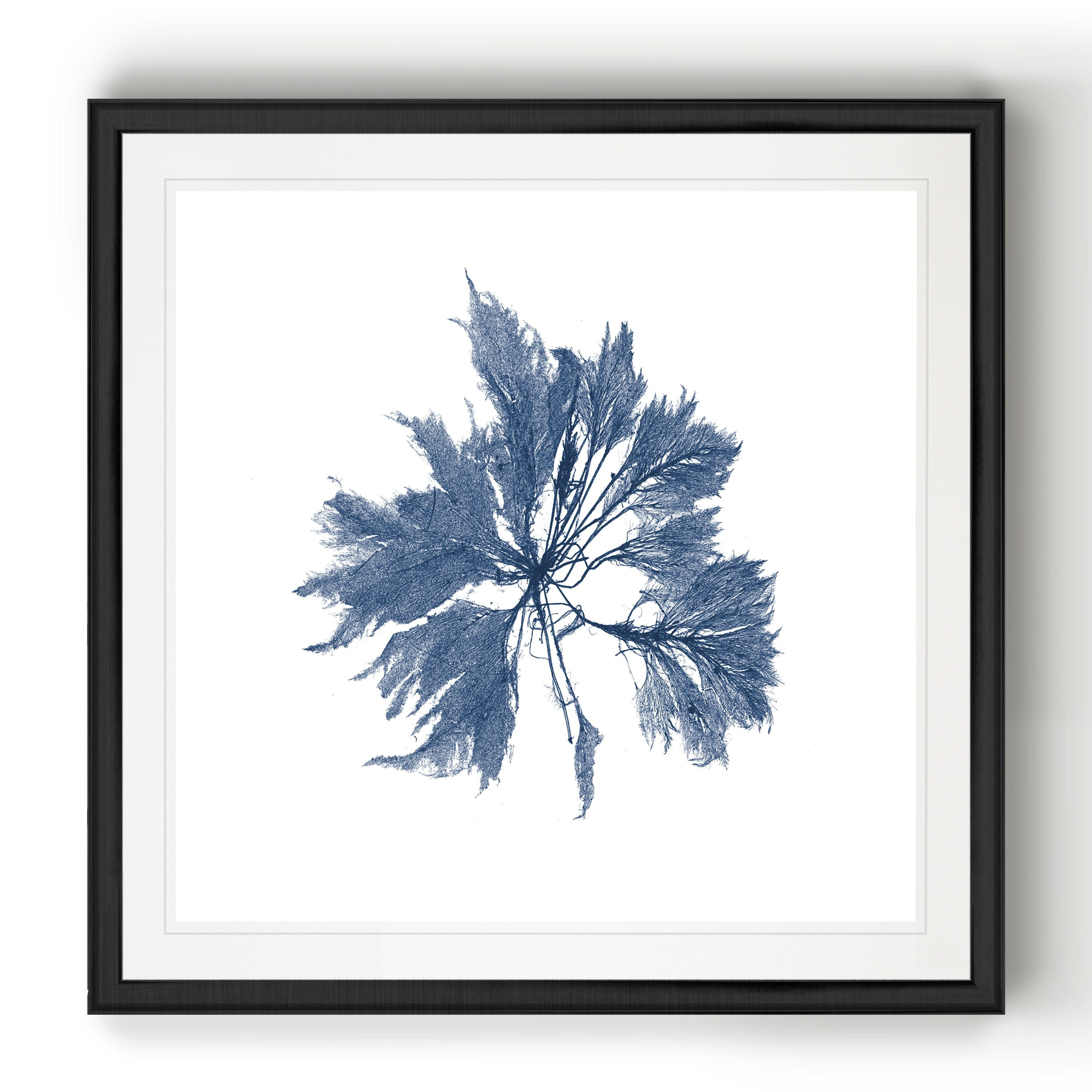 Navy Seaweed I Black Framed Print