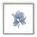 Navy Seaweed Iii Black Framed Print