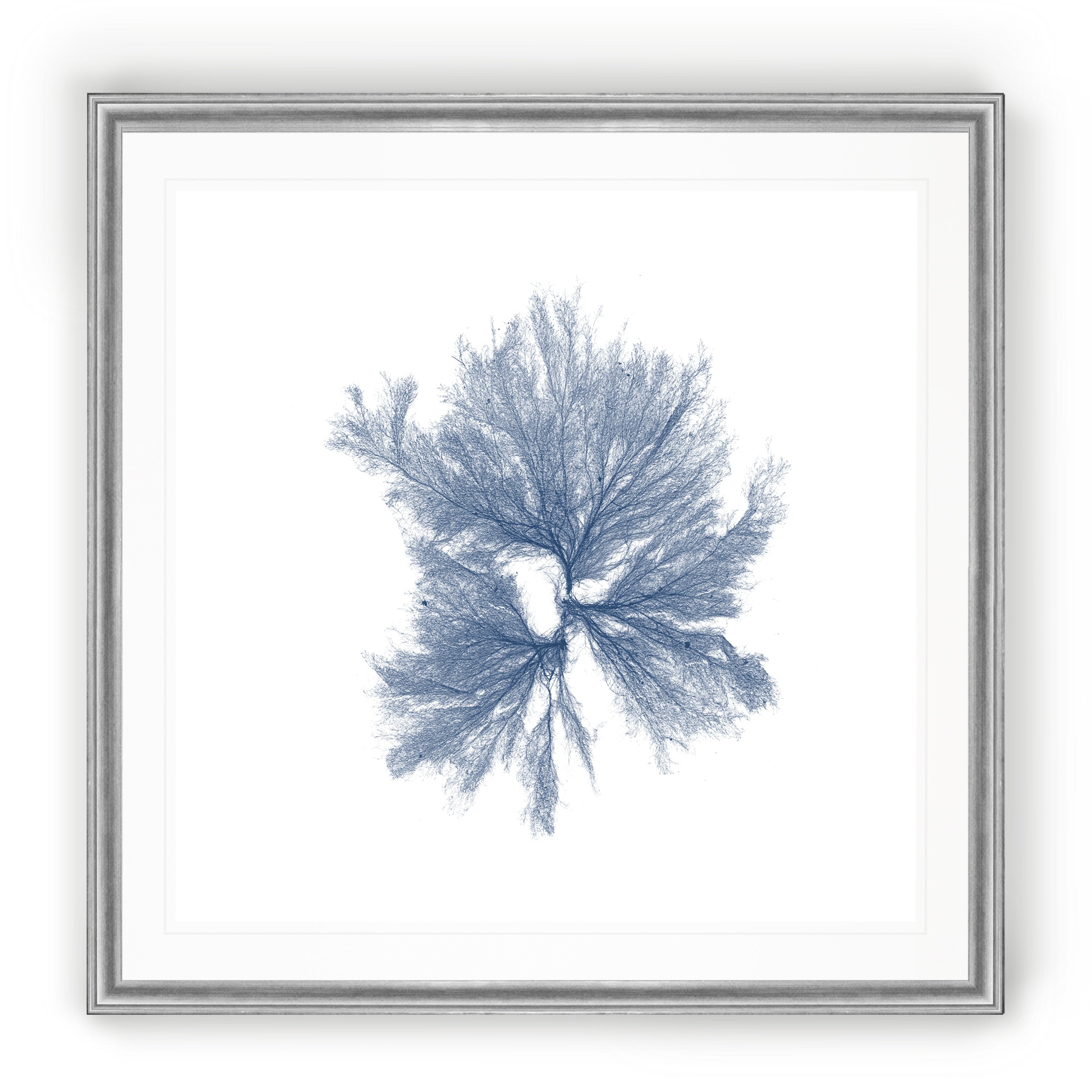 Navy Seaweed Iii Black Framed Print