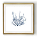 Navy Seaweed Iv Black Framed Print