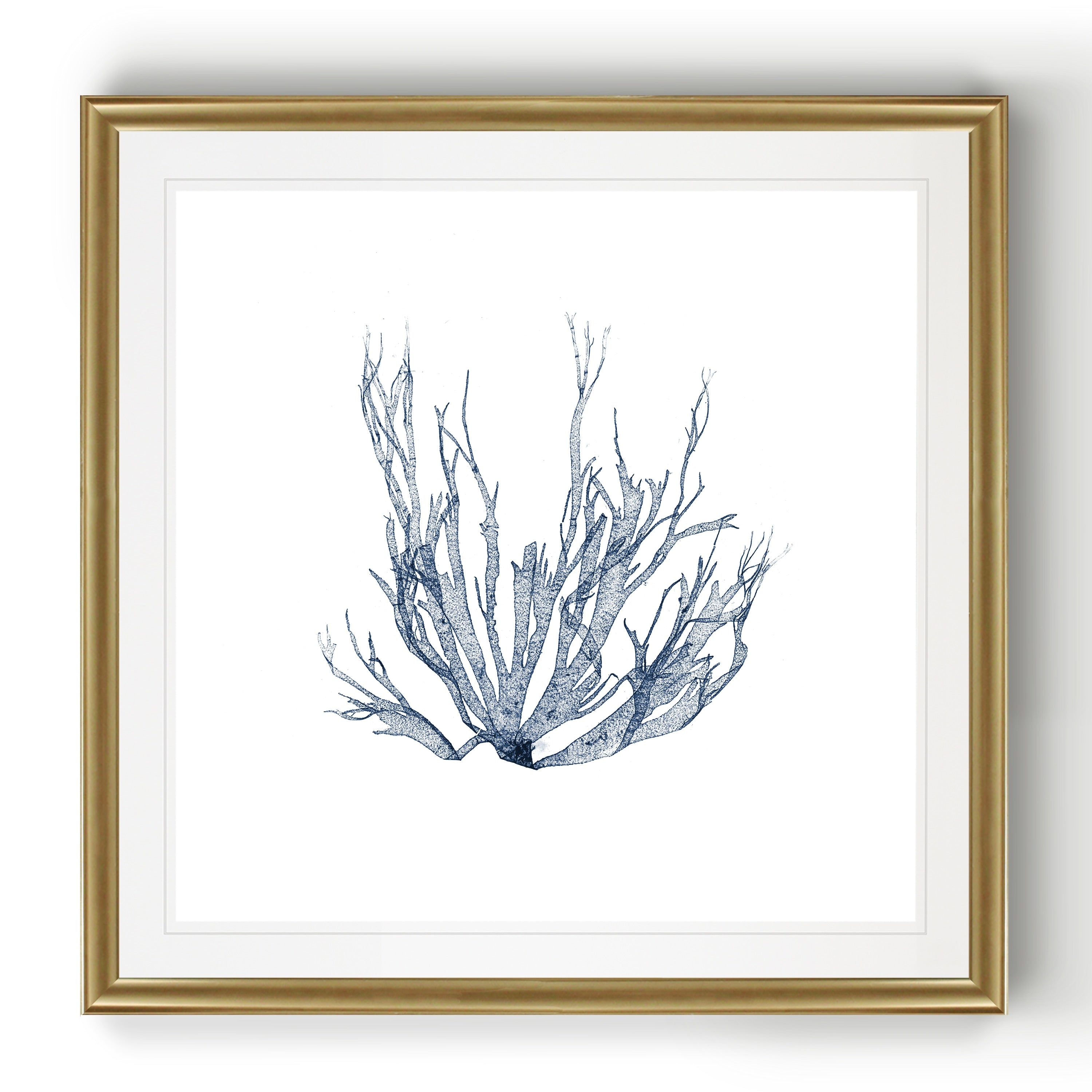 Navy Seaweed Iv Black Framed Print