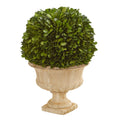 12 Boxwood Topiary Ball Preserved Plant In Decorative Urn