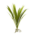 15 Grass Artificial Plant Set Of 6 H 15 In. W 11 In. D 10 In