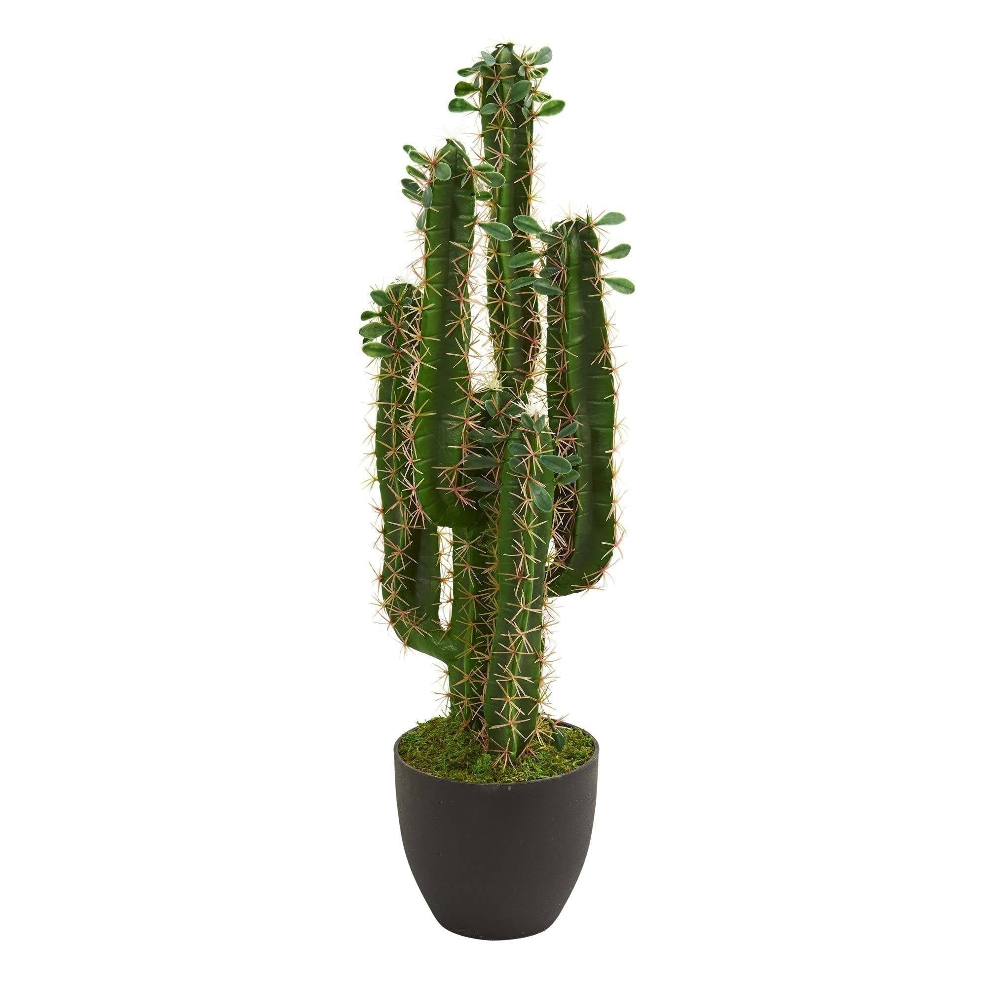 2.5 Cactus Artificial Plant H 2.5 Ft. W 9 In. D 9 In